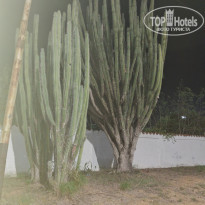 фото из отзыва ID 2659306