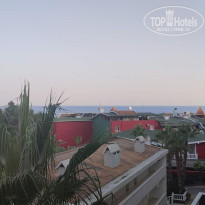 фото из отзыва ID 2659225