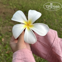 фото из отзыва ID 2659811