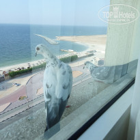 фото из отзыва ID 2660120