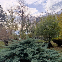 фото из отзыва ID 2660150