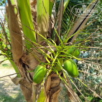фото из отзыва ID 2660370
