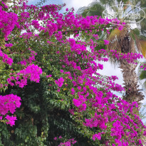 фото из отзыва ID 2660685