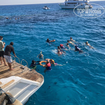 фото из отзыва ID 2660743