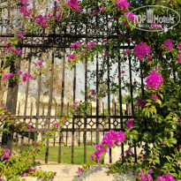 фото из отзыва ID 2661445