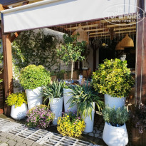 фото из отзыва ID 2661723