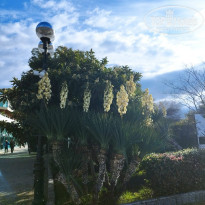 фото из отзыва ID 2661723