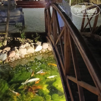 фото из отзыва ID 2661895