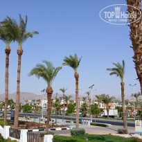 фото из отзыва ID 2661895