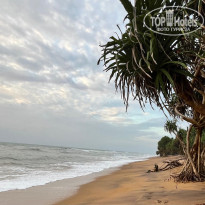 фото из отзыва ID 2661928