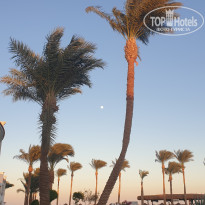 фото из отзыва ID 2662479