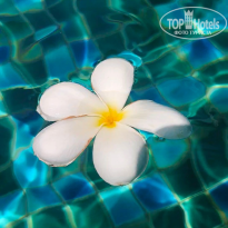 фото из отзыва ID 2662609