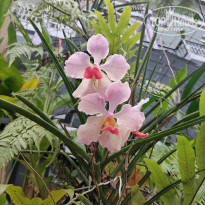 фото из отзыва ID 2662668