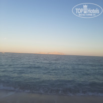 фото из отзыва ID 2662905