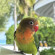 фото из отзыва ID 2662880