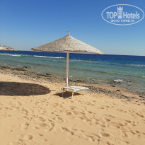 фото из отзыва ID 2662905