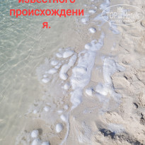 фото из отзыва ID 2663026