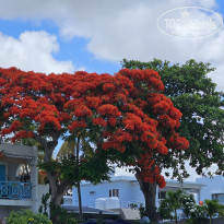 фото из отзыва ID 2663113