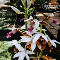 фото из отзыва ID 2663214