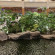Grand Hyatt Dubai