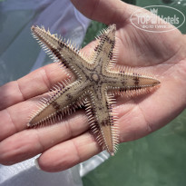 фото из отзыва ID 2663568