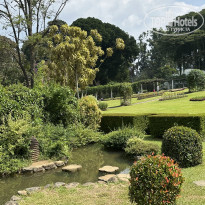 фото из отзыва ID 2663571