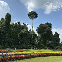 фото из отзыва ID 2663571