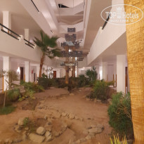 фото из отзыва ID 2664073