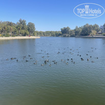 фото из отзыва ID 2664303