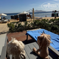 фото из отзыва ID 2664444