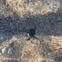 фото из отзыва ID 2664444