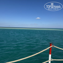 фото из отзыва ID 2664769