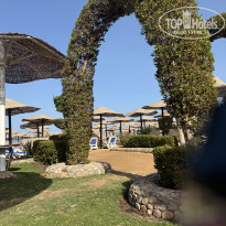 фото из отзыва ID 2664769