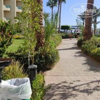 фото из отзыва ID 2664784