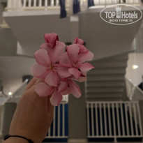 фото из отзыва ID 2665116