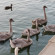 фото из отзыва ID 2665285