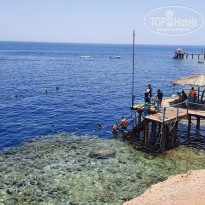 фото из отзыва ID 2665294