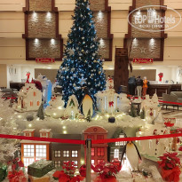 фото из отзыва ID 2665323