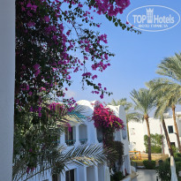 фото из отзыва ID 2665534