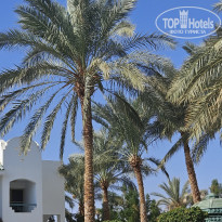 фото из отзыва ID 2665534