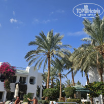 фото из отзыва ID 2665534