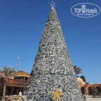 фото из отзыва ID 2665540