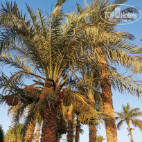 фото из отзыва ID 2665828