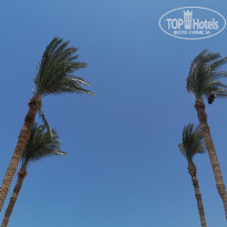 фото из отзыва ID 2665828