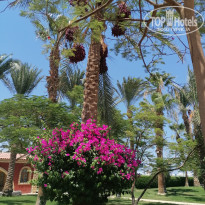 фото из отзыва ID 2665828