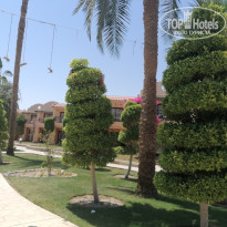 фото из отзыва ID 2665828