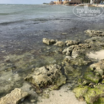 фото из отзыва ID 2665933
