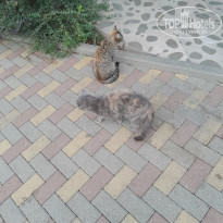 фото из отзыва ID 2664695