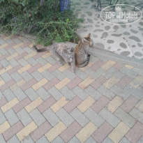 фото из отзыва ID 2664695