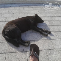 фото из отзыва ID 2664695